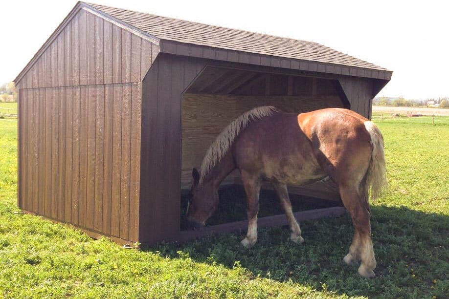 Run in Sheds In Leicester NY
